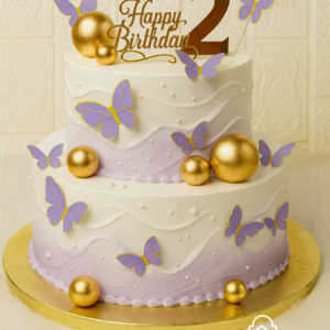 Butterfly theme cake 4